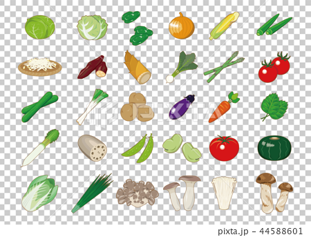 食材イラスト 野菜アイコン集 のイラスト素材 44588601 Pixta
