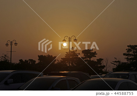 日の出 東海岸 朝 44588755