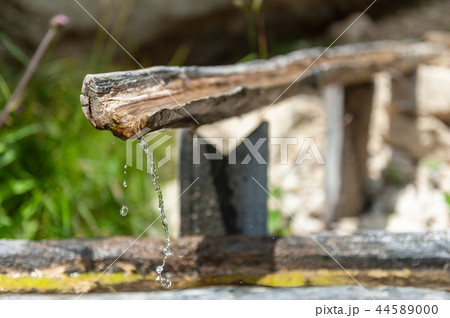 Old tree trunk being used as a through 44589000