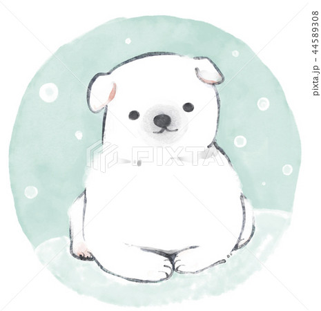 雪の中の子犬 44589308