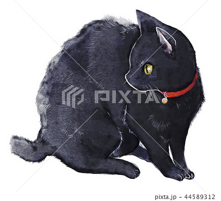 座る黒猫のイラスト素材 44589312 Pixta
