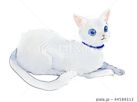 座る白猫のイラスト素材