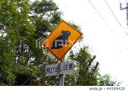 鹿児島県奄美大島クロウサギ飛び出し注意道路標識 鹿児島県奄美大島クロウサギ飛び出し注意道路標識 44589420