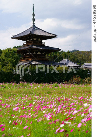 奈良斑鳩の里・秋の法起寺６（無人） 44589899