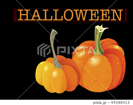 Halloween pumpkin set. Two orange gourds isolated 44590413