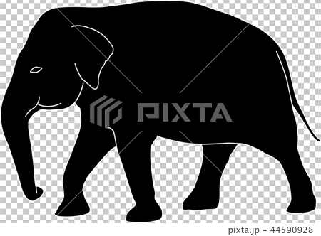 elephant silhouette with white outlines 44590928