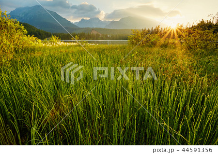 Mountain lake in Slovakia. Strbske Pleso. Europe 44591356