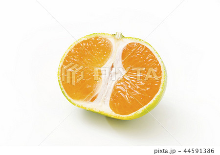 青切り温州みかん 44591386