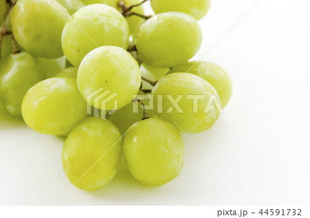 種無しぶどう グリーンシードレス 44591732