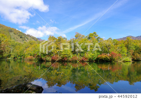 秋の雨飾高原(鎌池) 秋の雨飾高原(鎌池) 44592012