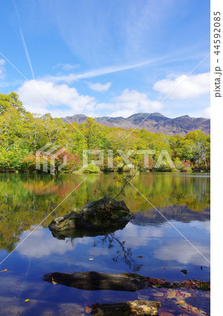 秋の雨飾高原(鎌池) 秋の雨飾高原(鎌池) 44592085