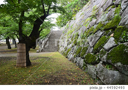 石垣（盛岡城跡公園(岩手公園)／岩手県盛岡市内丸1-37） 44592493