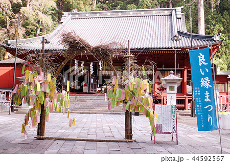 日光二荒山神社 本社拝殿と縁結びの笹の輪の写真素材