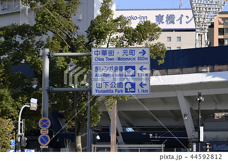 日本の横浜都市景観 横浜スタジアムなど街並みを望む 日本の横浜都市景観 横浜スタジアムなど街並みを望む 44592812