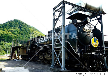 D51 D51 44593161