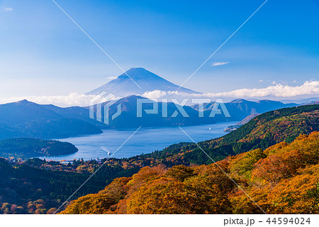 （神奈川県）紅葉した箱根大観山から望む富士山 44594024