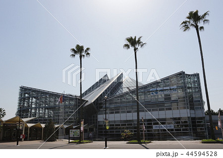 花博記念公園鶴見緑地の「咲くやこの花館」 44594528
