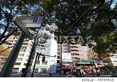 日本の横浜都市景観 中華街の玄武門(画面右)など、街並みを望む 日本の横浜都市景観 中華街の玄武門(画面右)など、街並みを望む 44594616