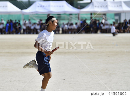 運動会 44595002