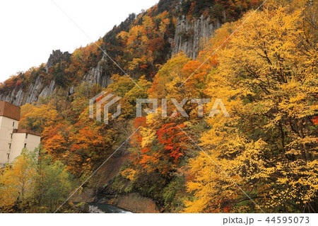 あまつ岩と紅葉の柱状節理 あまつ岩と紅葉の柱状節理 44595073