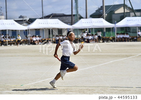 運動会 運動会 44595133