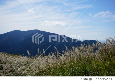 葛城山から金剛山を眺めて 44595274