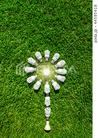 Energy efficient light bulbs on green grass 44595419