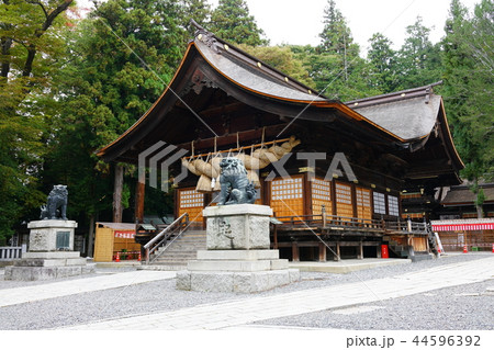 諏訪大社下社秋宮　神楽殿　　諏訪郡下諏訪町 44596392