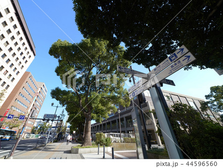 日本の横浜都市景観 横浜市役所や横浜スタジアムなどを望む 日本の横浜都市景観 横浜市役所や横浜スタジアムなどを望む 44596560