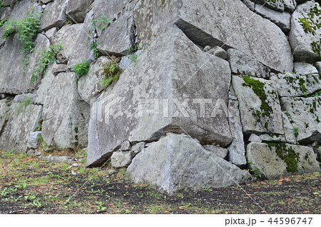 盛岡城の石垣(盛岡城跡公園(岩手公園)/岩手県盛岡市内丸1-37) 盛岡城の石垣(盛岡城跡公園(岩手公園)/岩手県盛岡市内丸1-37) 44596747