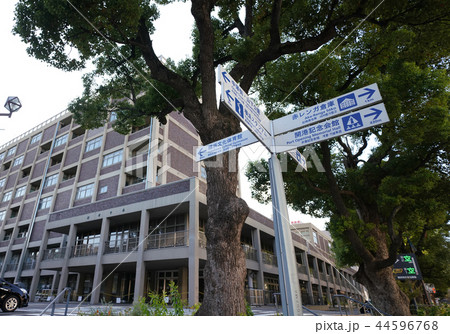 日本の横浜都市景観 横浜市役所などを望む 日本の横浜都市景観 横浜市役所などを望む 44596768