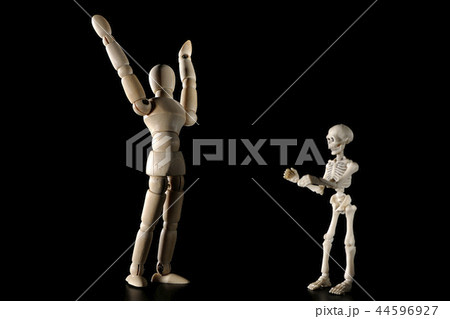 ひぇ~出たぁ~。 ひぇ~出たぁ~。 44596927