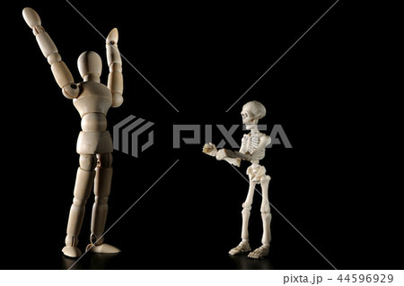 ひぇ~出たぁ~。 ひぇ~出たぁ~。 44596929