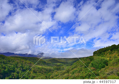 八ヶ岳高原 八ヶ岳高原 44597317