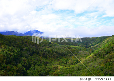 八ヶ岳高原 44597334