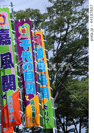 大相撲地方巡業ののぼり 大相撲地方巡業ののぼり 44597607