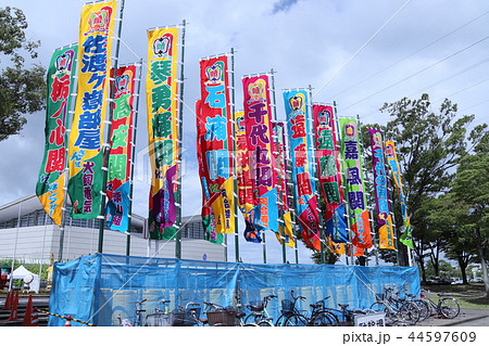 大相撲地方巡業ののぼり 44597609