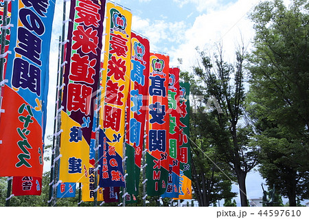 大相撲地方巡業ののぼり 44597610