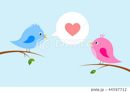 couple of cute birds in love 44597712