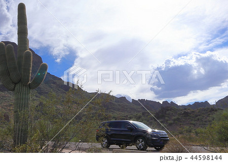 アリゾナのサボテンがある風景　弁慶柱　サワロ 44598144