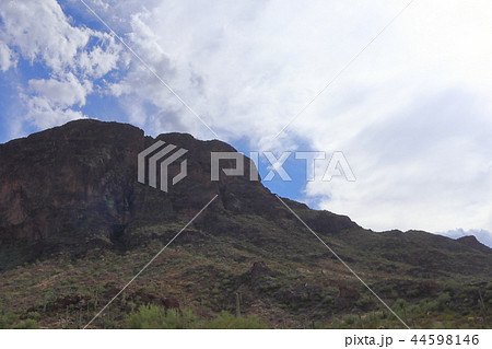 アリゾナのサボテンがある風景　弁慶柱　サワロ 44598146