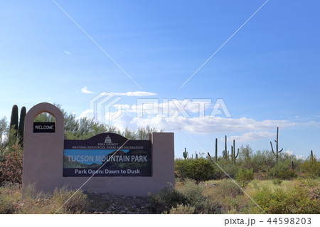 アリゾナのサボテンがある風景　弁慶柱　サワロ 44598203