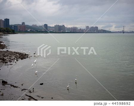 台北 台北市 タイペイ 44598692