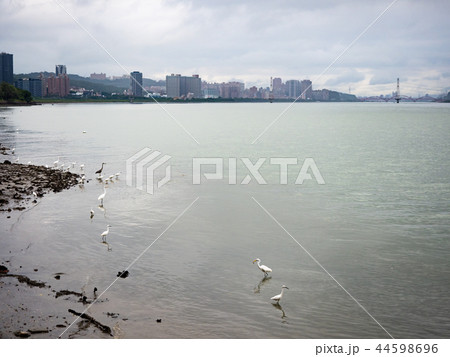 台北 台北市 タイペイ 44598696