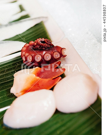 Octopus Tako and Hokkigai stimpson surf clam 44598807