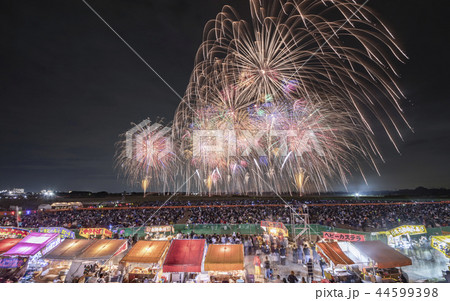 鴻巣花火 44599398