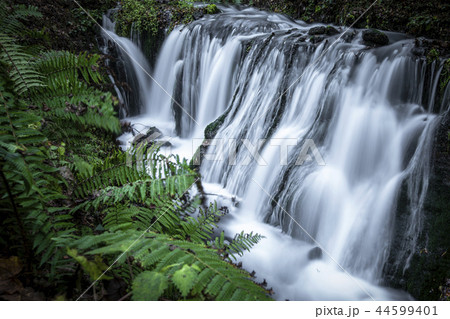 白糸の滝 44599401