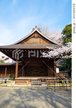 靖国神社 能楽堂と桜の標本木 東京都千代田区 18年3月の写真素材