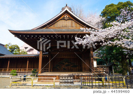 靖国神社 能楽堂と桜の標本木 (東京都千代田区) 2018年3月 靖国神社 能楽堂と桜の標本木 (東京都千代田区) 2018年3月 44599460
