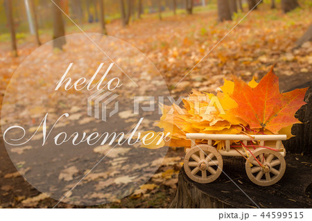 Hello November greeting card. leaves on the cart 44599515
